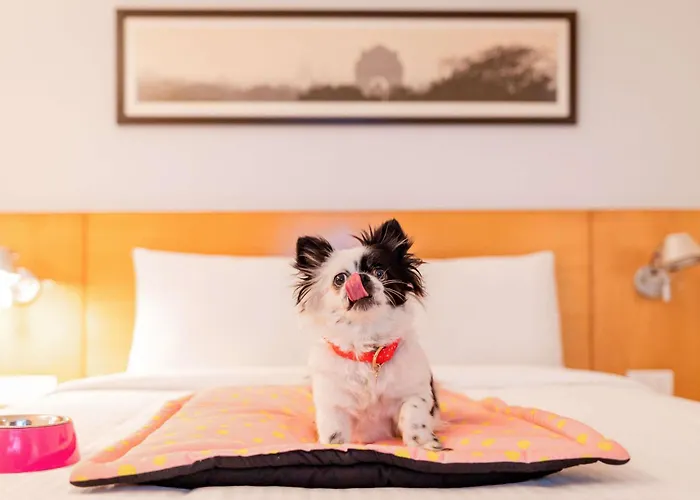 Hotel familiar: ibis Recife Aeroporto
