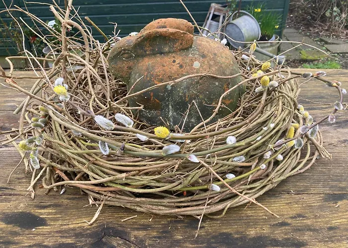 Huisdiervriendelijk hotel: BBOosterweg3 Studio