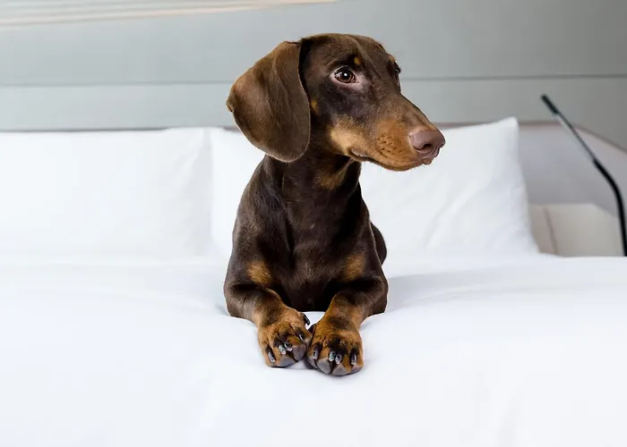 Hotel with view: Villa Marquis A Member Of Melia Collection Tour Eiffel