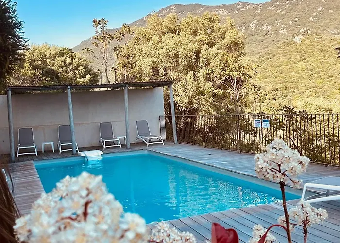 Hôtel 3 étoiles: Hôtel Villa Les Orangers