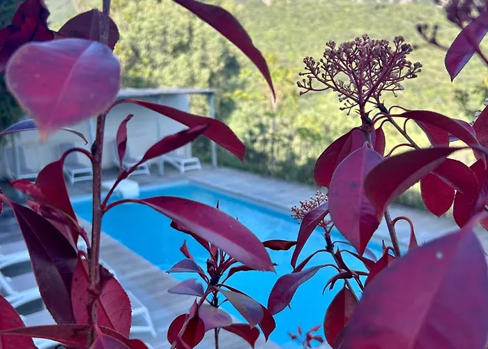 Hôtel 3 étoiles: Hôtel Villa Les Orangers