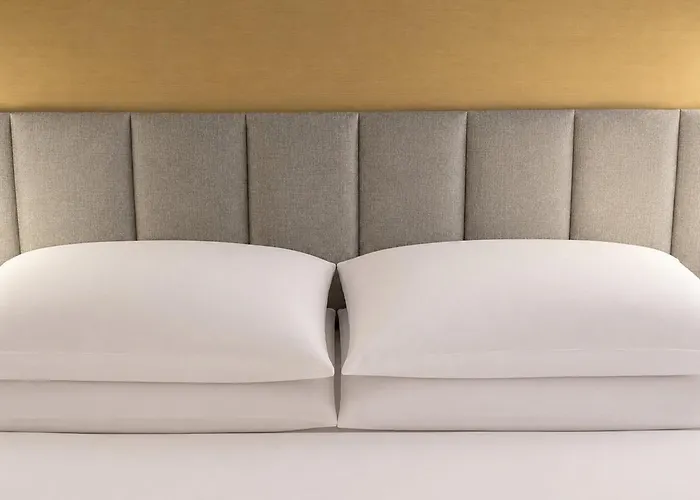 Hotel do aeroporto: Crowne Plaza Orlando-Downtown By Ihg