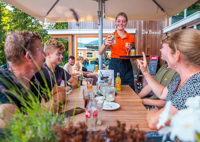 Goedkoop hotel: Vakantiepark Witterzomer Assen