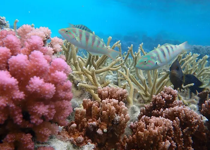 Conrad Bora Bora Nui