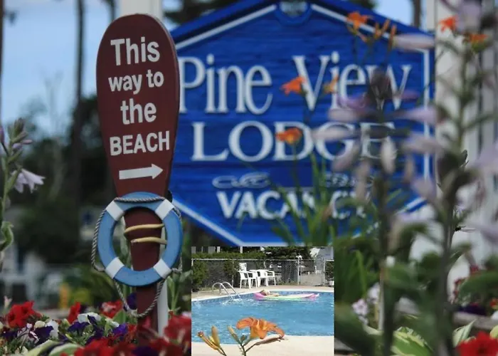 Pine View Lodge