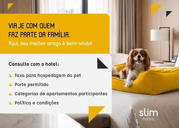 Slim Curitiba Alto Da XV