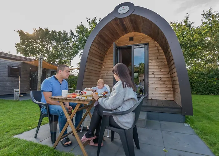 Camping Ginsterveld