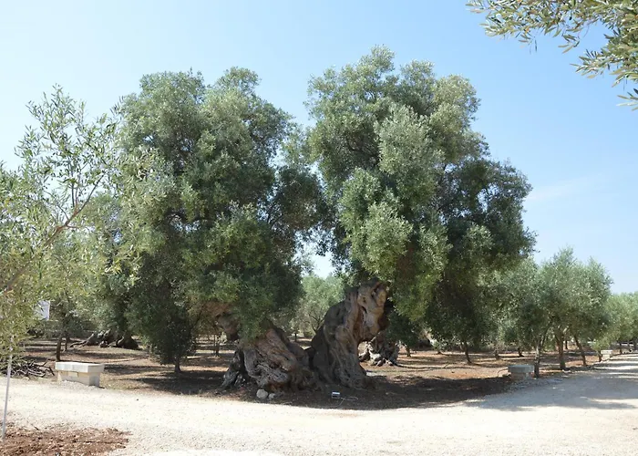 Masseria San Leonardo