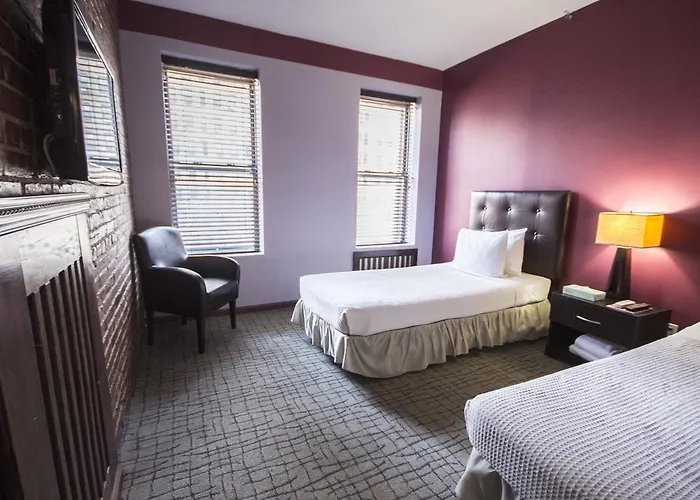 Hôtel accueillant les animaux: Broadway Hotel & Hostel