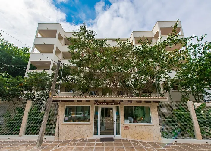 Casa Del Arbol
