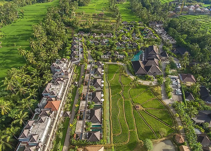 Luxe hotel: Visesa Ubud Resort