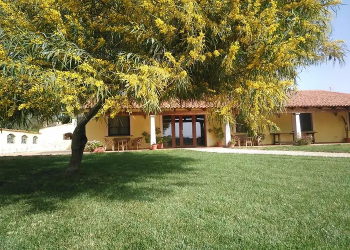 La Mimosa