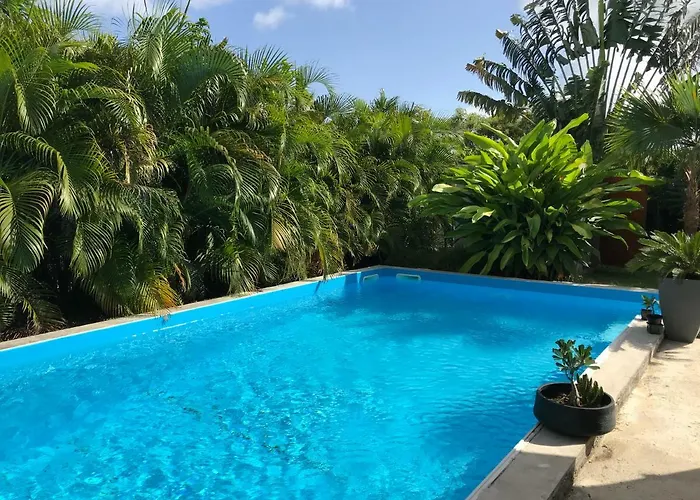 Hôtel accueillant les animaux: Villa Saphir