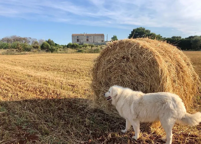 Hotel que admite mascotas: Agriturismo La Palascia Masseria Agreste